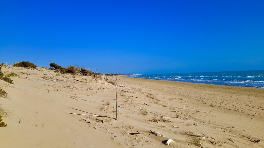 Le Dune Residence Santa Maria Del Focallo Eksteriør billede