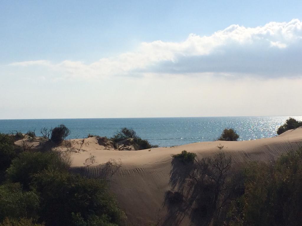 Le Dune Residence Santa Maria Del Focallo Eksteriør billede